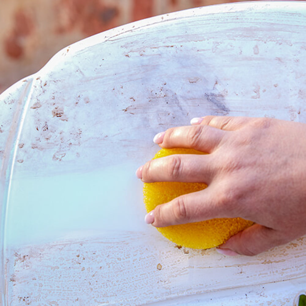 Shadazzle|純天然萬用清潔膏附專利海綿 (不鏽鋼廚具專用)